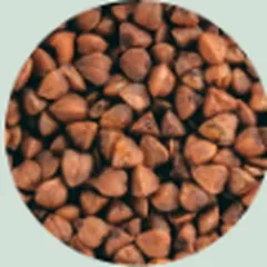 Buckwheat