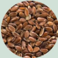 Flax seeds